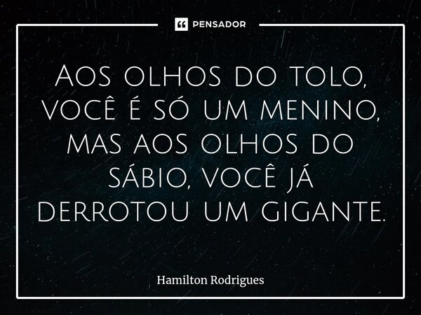 ⁠Aos olhos do tolo, você é só um menino, mas aos olhos do sábio, você já derrotou um gigante.... Frase de Hamilton Rodrigues.