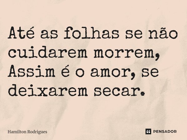 Até as folhas se não cuidarem morrem, Assim é o amor, se deixarem secar.⁠... Frase de Hamilton Rodrigues.