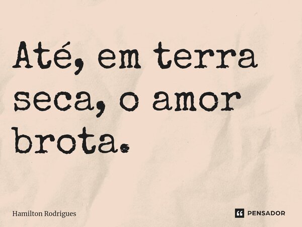 Até, em terra seca⁠, o amor brota.... Frase de Hamilton Rodrigues.