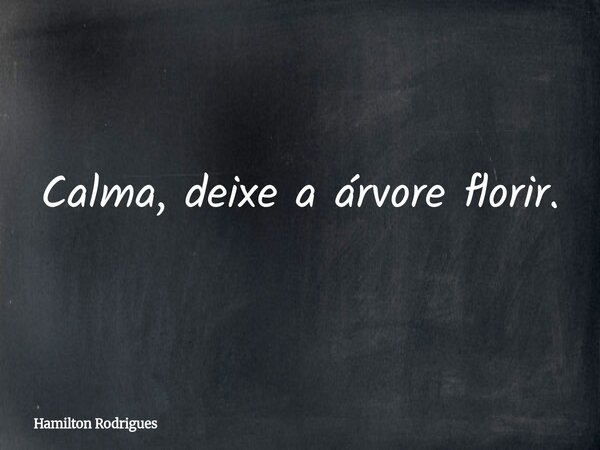 Calma, deixe a árvore florir.... Frase de Hamilton Rodrigues.