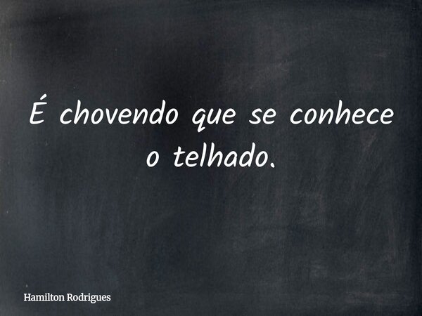 É chovendo que se conhece o telhado.... Frase de Hamilton Rodrigues.