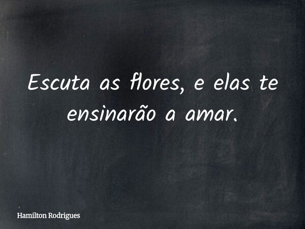 Escuta as flores, e elas te ensinarão a amar.... Frase de Hamilton Rodrigues.