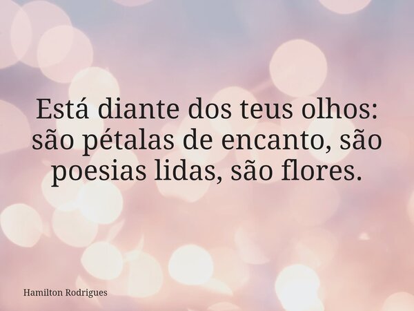 Está diante dos teus olhos: são pétalas de encanto, são poesias lidas, são flores.... Frase de Hamilton Rodrigues.