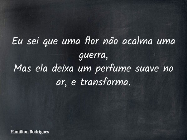 Eu sei que uma flor não acalma uma guerra, Mas ela deixa um perfume suave no ar, e transforma.... Frase de Hamilton Rodrigues.