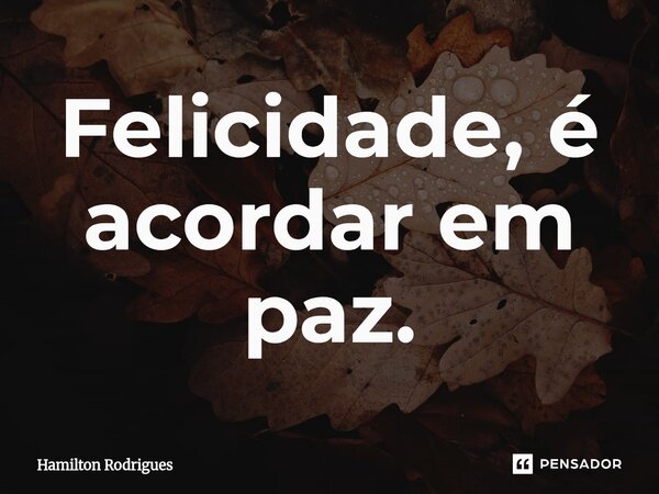 Felicidade, é acordar em paz.... Frase de Hamilton Rodrigues.
