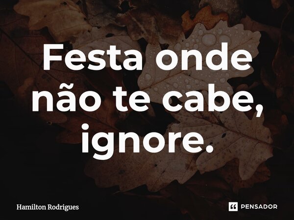 ⁠Festa onde não te cabe, ignore.... Frase de Hamilton Rodrigues.
