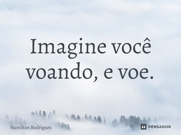 ⁠Imagine você voando, e voe.... Frase de Hamilton Rodrigues.