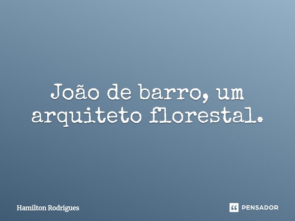 João de barro, um arquiteto florestal.⁠... Frase de Hamilton Rodrigues.