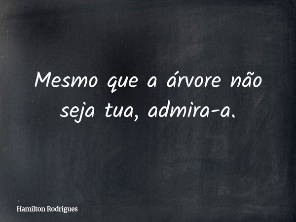 Mesmo que a árvore não seja tua, admira-a.... Frase de Hamilton Rodrigues.