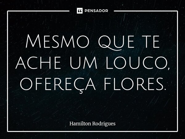⁠Mesmo que te ache um louco, ofereça flores.... Frase de Hamilton Rodrigues.