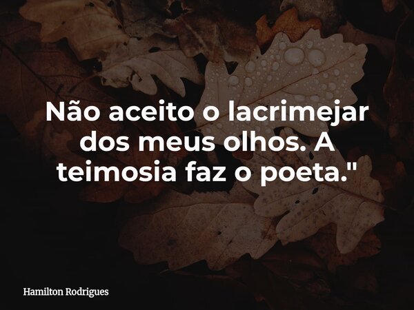 Não aceito o lacrimejar dos meus olhos. A teimosia faz o poeta."... Frase de Hamilton Rodrigues.