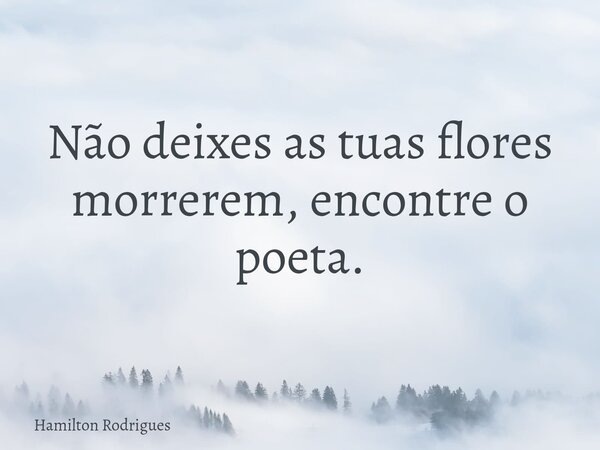 Não deixes as tuas flores morrerem, encontre o poeta.... Frase de Hamilton Rodrigues.
