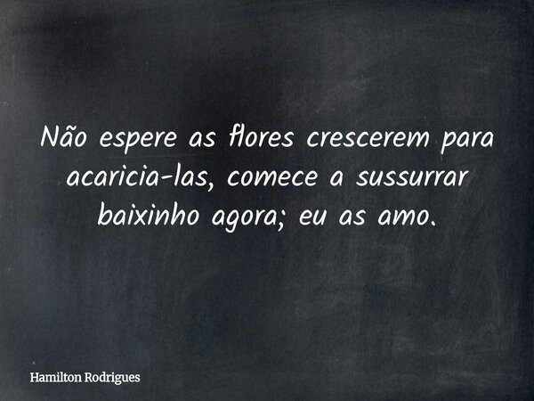 Não espere as flores crescerem para acaricia-las, comece a sussurrar baixinho agora; eu as amo.... Frase de Hamilton Rodrigues.
