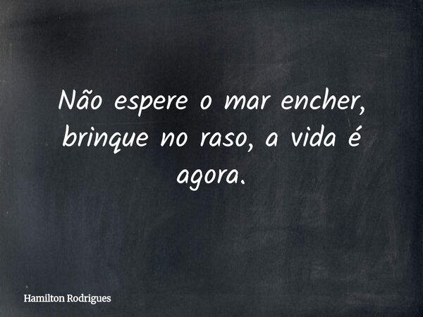 Não espere o mar encher, brinque no raso, a vida é agora.... Frase de Hamilton Rodrigues.