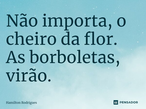 ⁠Não importa, o cheiro da flor. As borboletas, virão.... Frase de Hamilton Rodrigues.