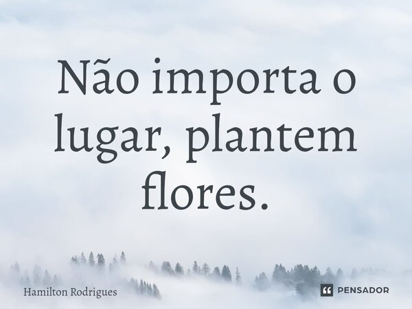 ⁠Não importa o lugar, plantem flores.... Frase de Hamilton Rodrigues.