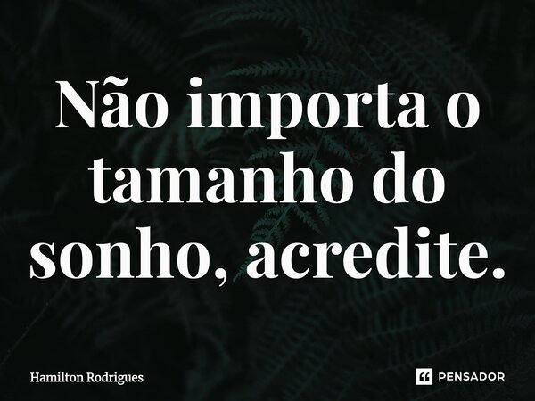 Não importa o tamanho do sonho, acredite.⁠... Frase de Hamilton Rodrigues.