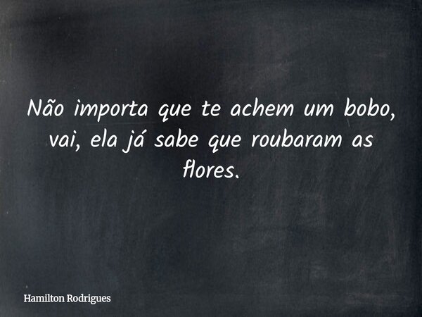 Não importa que te achem um bobo, vai, ela já sabe que roubaram as flores.... Frase de Hamilton Rodrigues.