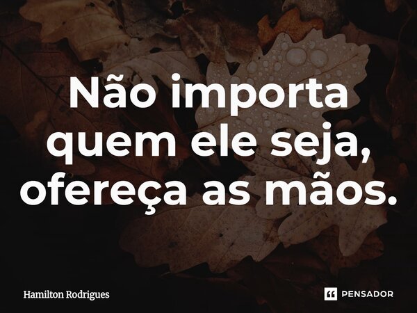 Não importa quem ele seja, ofereça as mãos.⁠... Frase de Hamilton Rodrigues.