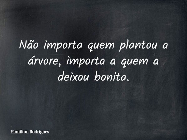 Não importa quem plantou a árvore, importa a quem a deixou bonita.... Frase de Hamilton Rodrigues.