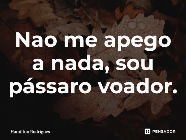 ⁠Nao me apego a nada, sou pássaro voador.... Frase de Hamilton Rodrigues.