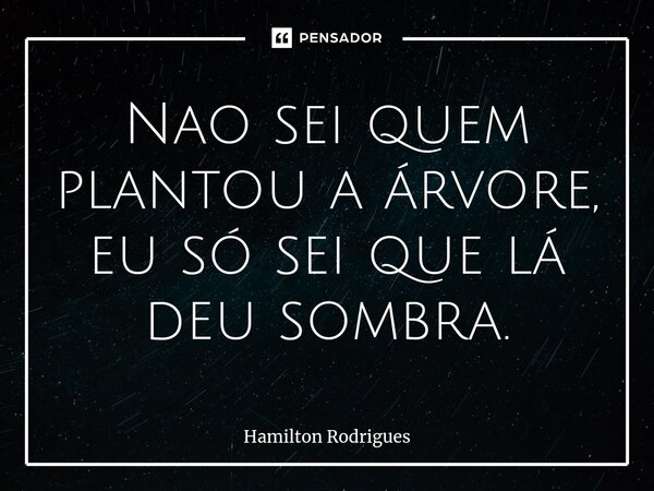 ⁠Nao sei quem plantou a árvore, eu só sei que lá deu sombra.... Frase de Hamilton Rodrigues.