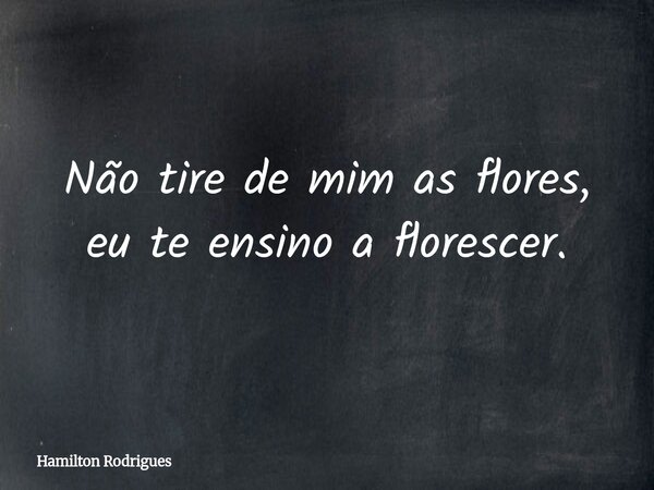Não tire de mim as flores, eu te ensino a florescer.... Frase de Hamilton Rodrigues.