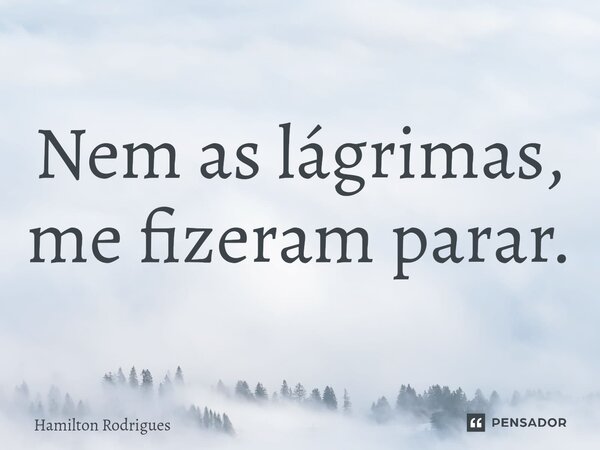 ⁠Nem as lágrimas, me fizeram parar.... Frase de Hamilton Rodrigues.