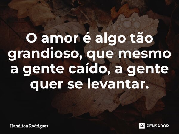 ⁠O amor é algo tão grandioso, que mesmo a gente caído, a gente quer se levantar.... Frase de Hamilton Rodrigues.