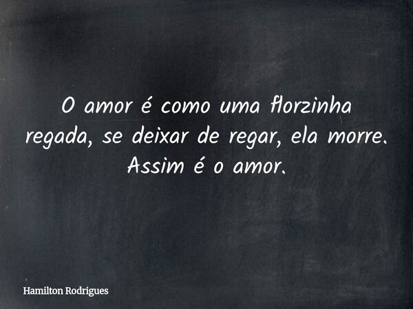 O amor é como uma florzinha regada, se deixar de regar, ela morre. Assim é o amor.... Frase de Hamilton Rodrigues.