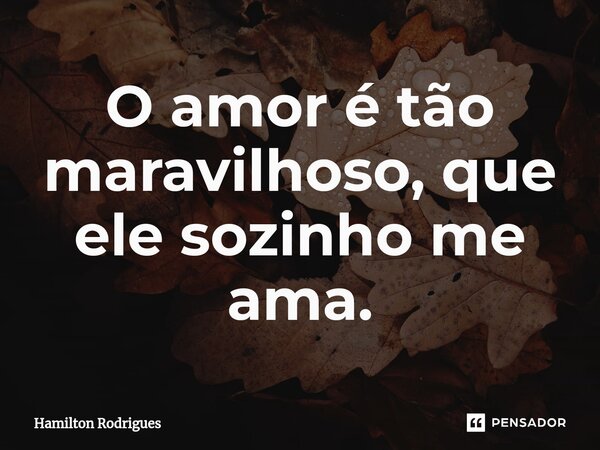 ⁠O amor é tão maravilhoso, que ele sozinho me ama.... Frase de Hamilton Rodrigues.