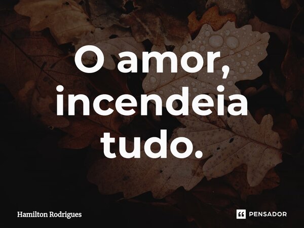 ⁠O amor, incendeia tudo.... Frase de Hamilton Rodrigues.