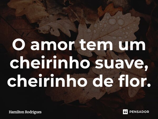 ⁠O amor tem um cheirinho suave, cheirinho de flor.... Frase de Hamilton Rodrigues.