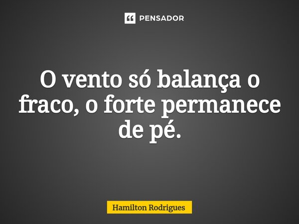 ⁠O vento só balança o fraco, o forte permanece de pé.... Frase de Hamilton Rodrigues.