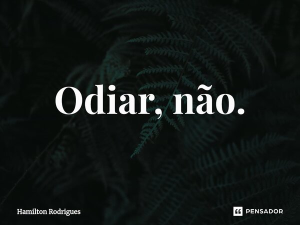 ⁠Odiar, não.... Frase de Hamilton Rodrigues.