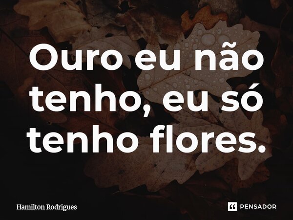 ⁠Ouro eu não tenho, eu só tenho flores.... Frase de Hamilton Rodrigues.
