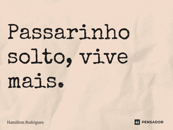 ⁠Passarinho solto, vive mais.... Frase de Hamilton Rodrigues.