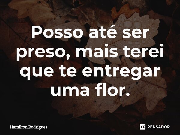 ⁠Posso até ser preso, mais terei que te entregar uma flor.... Frase de Hamilton Rodrigues.
