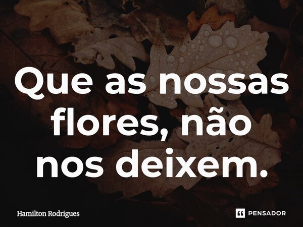 Que as nossas flores, não nos deixem.⁠... Frase de Hamilton Rodrigues.