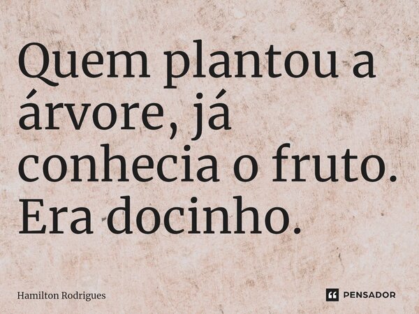⁠Quem plantou a árvore, já conhecia o fruto. Era docinho.... Frase de Hamilton Rodrigues.