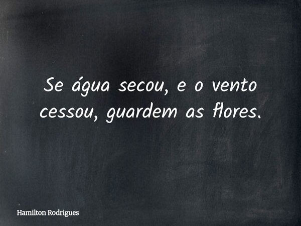 Se água secou, e o vento cessou, guardem as flores.... Frase de Hamilton Rodrigues.