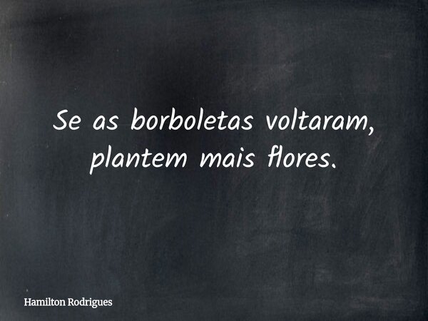 Se as borboletas voltaram, plantem mais flores.... Frase de Hamilton Rodrigues.