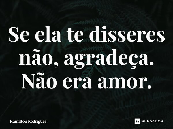 ⁠Se ela te disseres não, agradeça. Não era amor.... Frase de Hamilton Rodrigues.