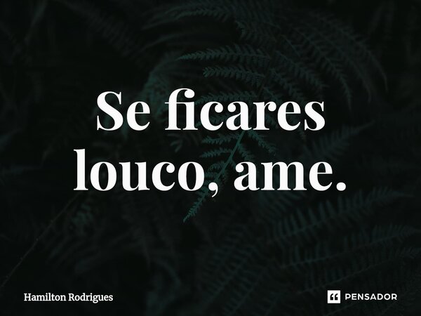 ⁠Se ficares louco, ame.... Frase de Hamilton Rodrigues.