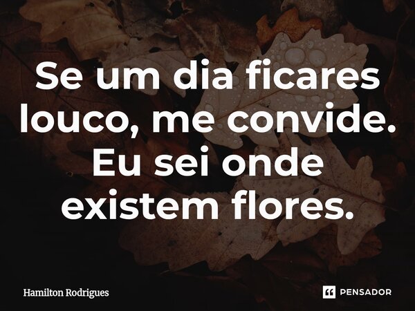 Se um dia ficares louco, me convide. Eu sei onde existem flores.⁠... Frase de Hamilton Rodrigues.