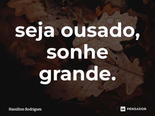 ⁠seja ousado, sonhe grande.... Frase de Hamilton Rodrigues.