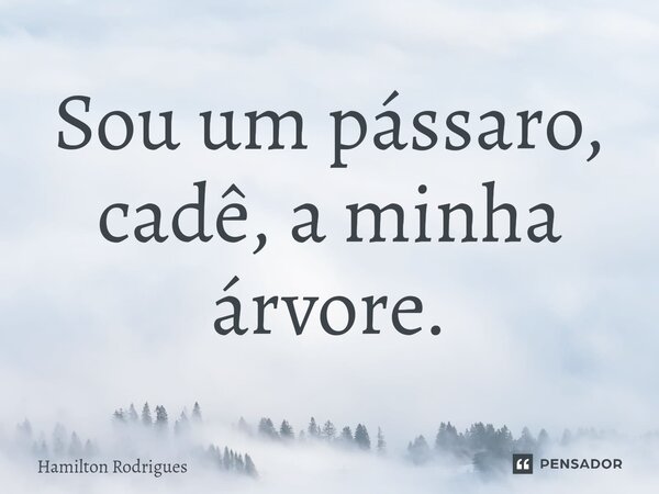 Sou um pássaro, cadê, a minha árvore.⁠... Frase de Hamilton Rodrigues.