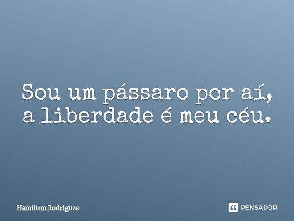 ⁠Sou um pássaro por aí, a liberdade é meu céu.... Frase de Hamilton Rodrigues.