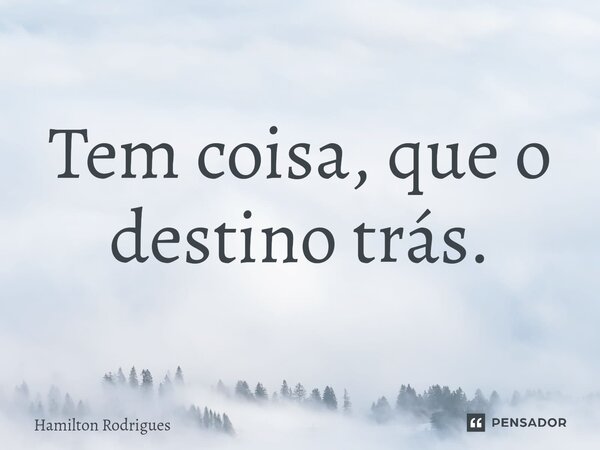 ⁠Tem coisa, que o destino trás.... Frase de Hamilton Rodrigues.