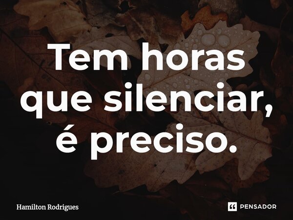 ⁠Tem horas que silenciar, é preciso.... Frase de Hamilton Rodrigues.